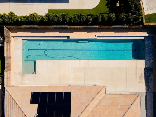 3636 Elberta Cir, Dinuba, CA 93618 - view of swimming pool