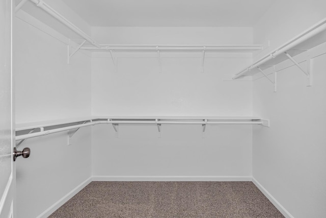 walk in closet with carpet