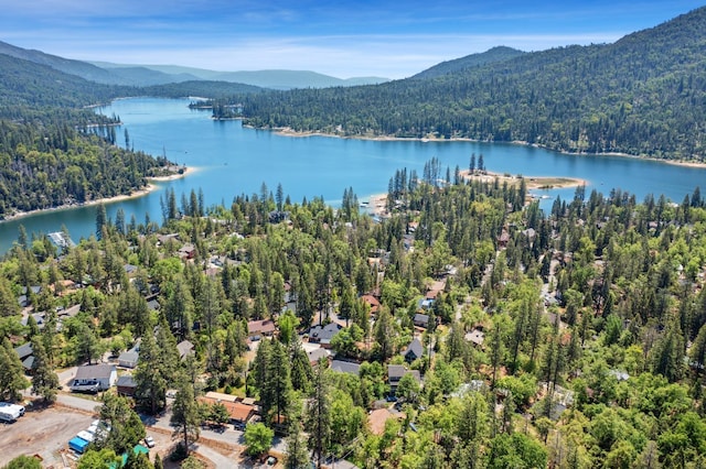 39398 Robin, Bass Lake, CA 93604 - bird's eye view of a forest and a water and mountain view