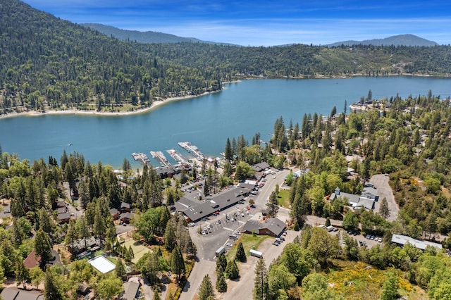 39398 Robin, Bass Lake, CA 93604 - drone / aerial view of a heavily wooded area and a water and mountain view