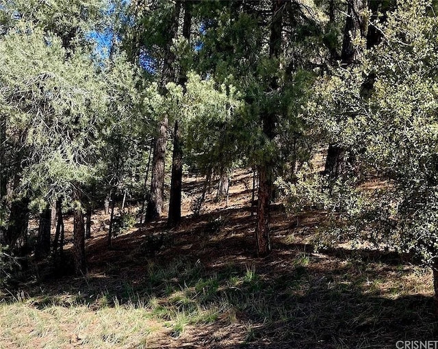 2000 Ironwood Dr, Frazier Park, CA 93222