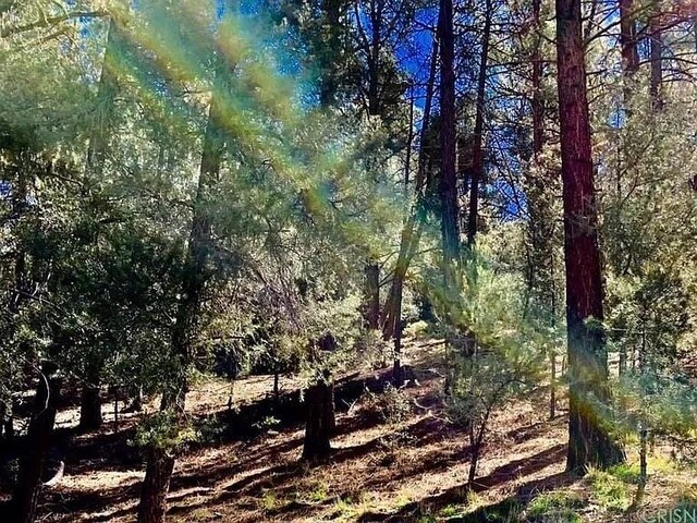2000 Ironwood Dr, Frazier Park, CA 93222