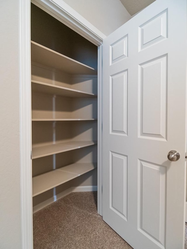 873 Beaver Pond Loop, Madera, CA 93636 - view of closet
