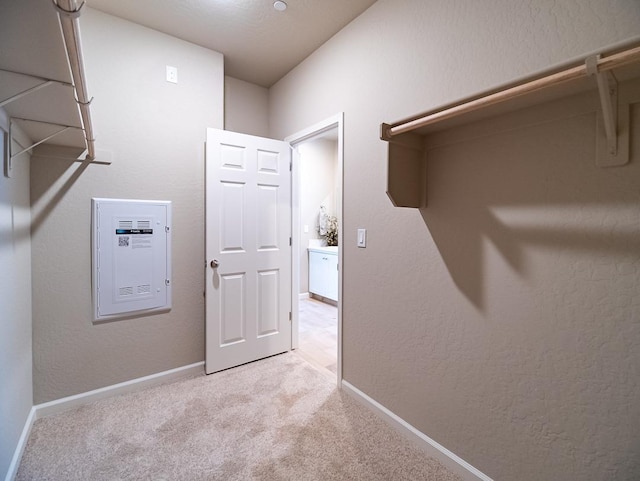 873 Beaver Pond Loop, Madera, CA 93636 - walk in closet featuring light colored carpet