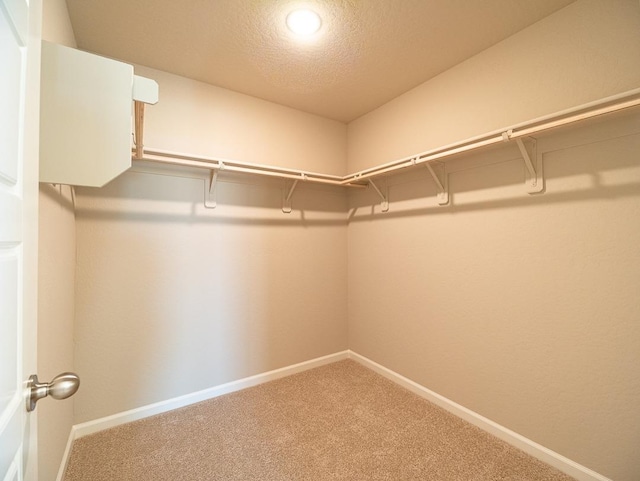 917 Beaver Pond Loop, Madera, CA 93636 - walk in closet with carpet