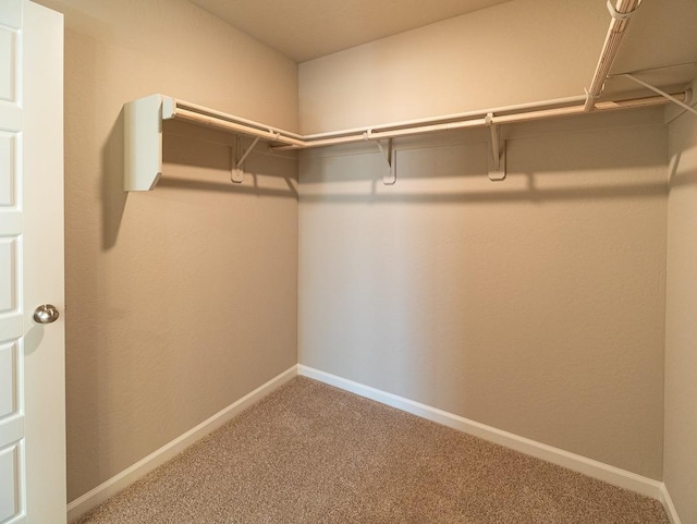 917 Beaver Pond Loop, Madera, CA 93636 - spacious closet with carpet flooring