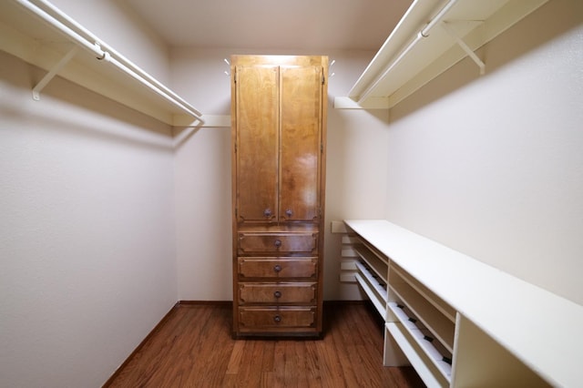 spacious closet featuring dark wood-style flooring