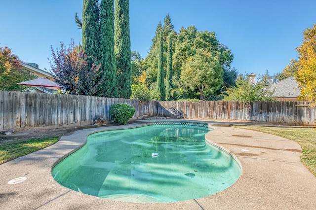 580 W Alluvial Ave, Clovis, CA 93611 - view of swimming pool with a fenced backyard