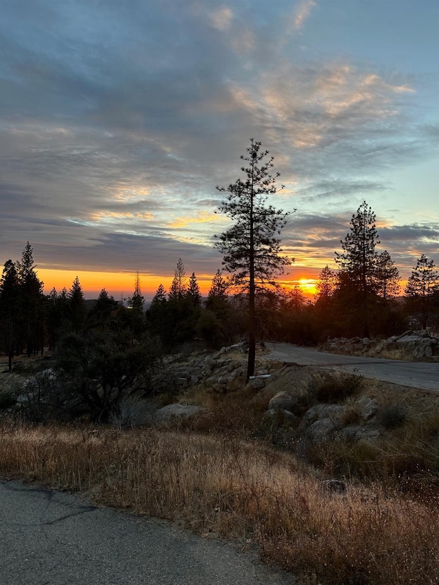 34235 Tollhouse Rd, Auberry, CA 93602