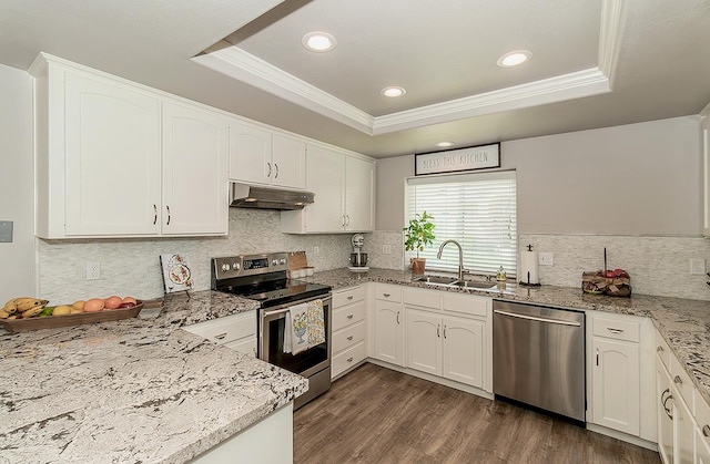 1073 E Pennsylvania Ave, Fresno, CA 93720 - kitchen with stainless steel appliances, a sink, a tray ceiling, under cabinet range hood, and crown molding