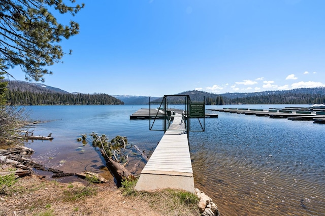 58374 Huntington Lake Rd Unit 12, Lakeshore, CA 93634 - dock with a water view and a forest view