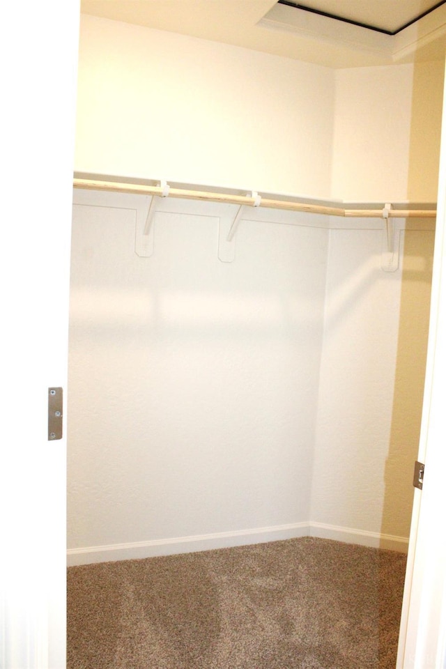 2158 W Ambassador Way, Hanford, CA 93230 - walk in closet featuring carpet floors