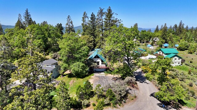 39240 Oak Dr, Oakhurst, CA 93644 - photo 39