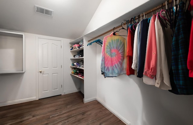43480 Cave Stone Ct, Coarsegold, CA 93614 - spacious closet with wood finished floors and lofted ceiling