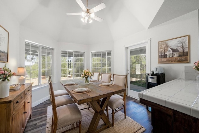 43480 Cave Stone Ct, Coarsegold, CA 93614 - dining room featuring healthy amount of natural light, dark wood-style floors, a ceiling fan, and high vaulted ceiling