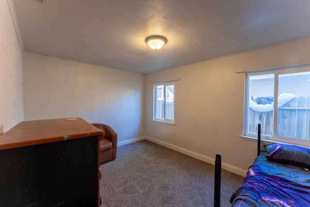 1428 E Simpson, Fresno, CA 93704 - bedroom with carpet and baseboards