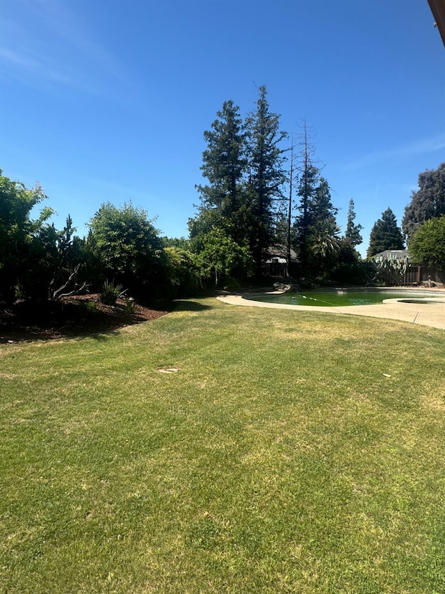 399 E Richmond Ave, Fresno, CA 93720 - view of green lawn