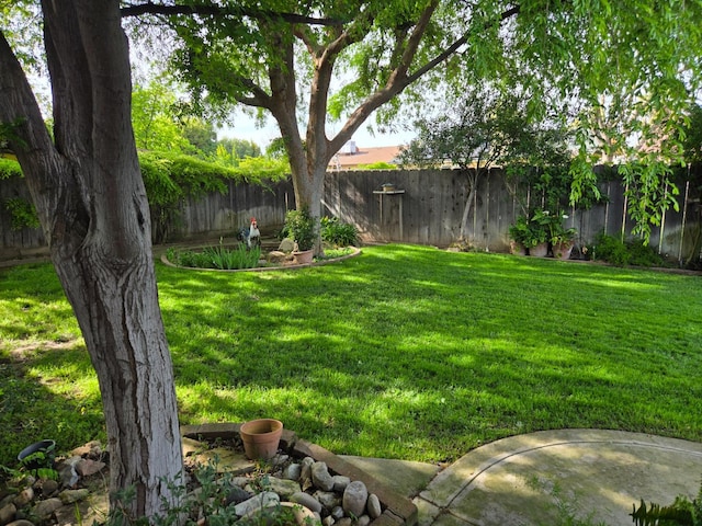 1489 Celeste Ave, Clovis, CA 93611 - view of yard