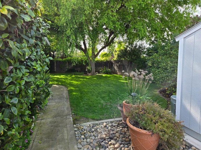 1489 Celeste Ave, Clovis, CA 93611 - view of yard