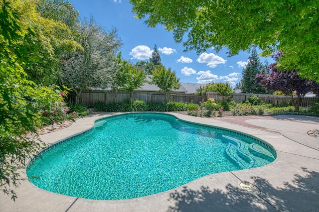 198 Decatur Ave, Clovis, CA 93611 - view of swimming pool with a fenced backyard and a patio area