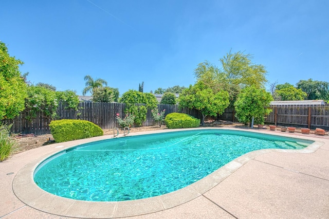 view of pool with a fenced backyard and a patio area