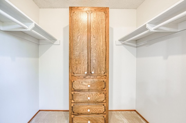 walk in closet featuring carpet