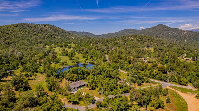 33590 Woodland Pond Trl, North Fork, CA 93643 - photo 89