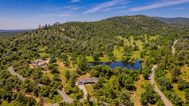 33590 Woodland Pond Trl, North Fork, CA 93643 - photo 86