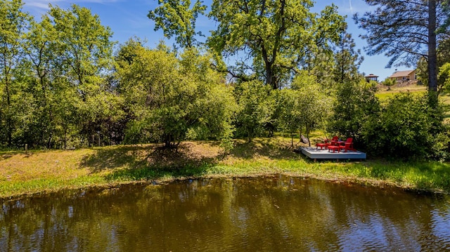 33590 Woodland Pond Trl, North Fork, CA 93643 - photo 82