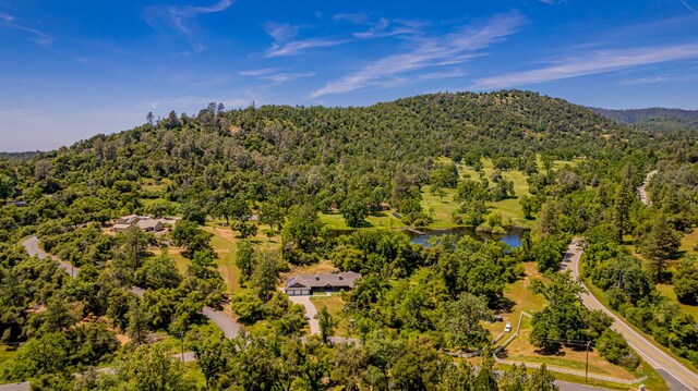 33590 Woodland Pond Trl, North Fork, CA 93643 - photo 85