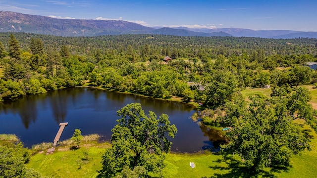 33590 Woodland Pond Trl, North Fork, CA 93643 - photo 81