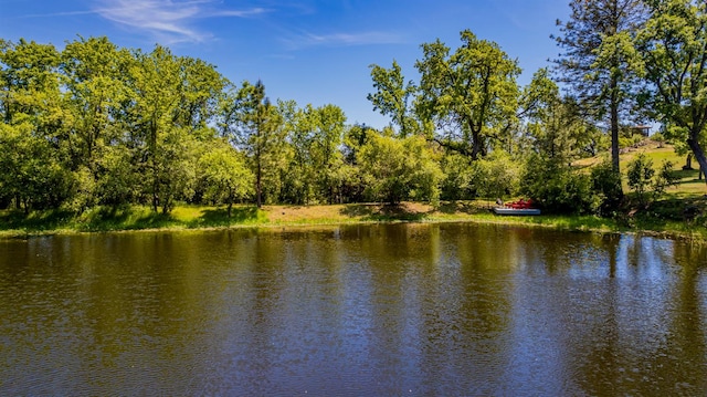 33590 Woodland Pond Trl, North Fork, CA 93643 - photo 83