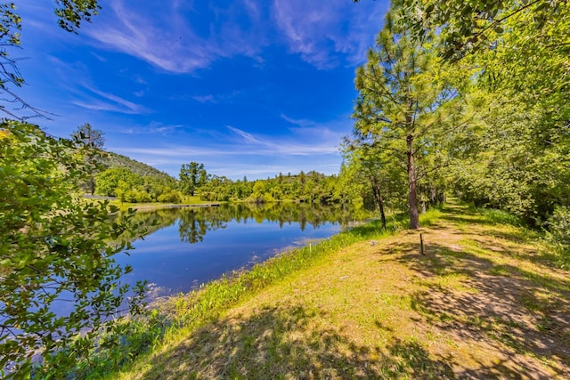 33590 Woodland Pond Trl, North Fork, CA 93643 - photo 79