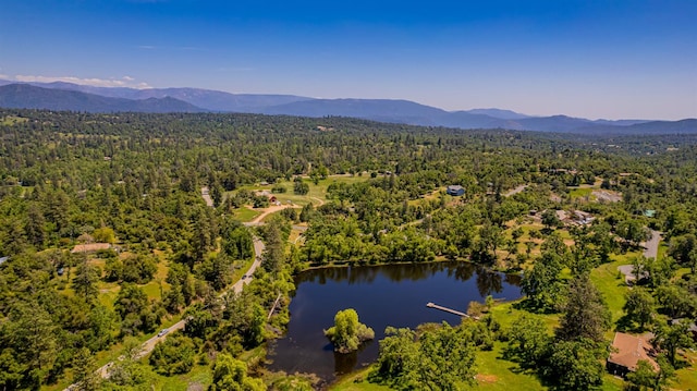 33590 Woodland Pond Trl, North Fork, CA 93643 - photo 87
