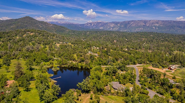 33590 Woodland Pond Trl, North Fork, CA 93643 - photo 88