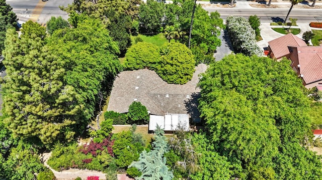 bird's eye view