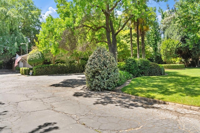 view of asphalt driveway with street lights