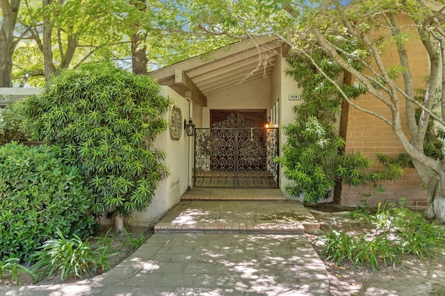 view of exterior entry with stucco siding