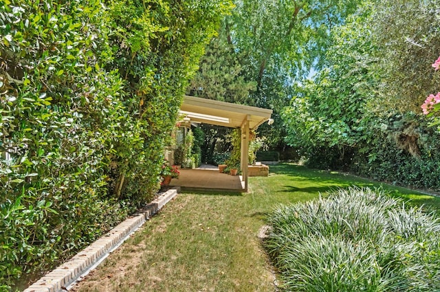 view of grassy yard featuring a patio