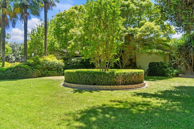 view of grassy yard