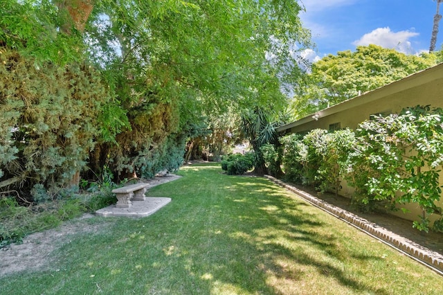 view of green lawn