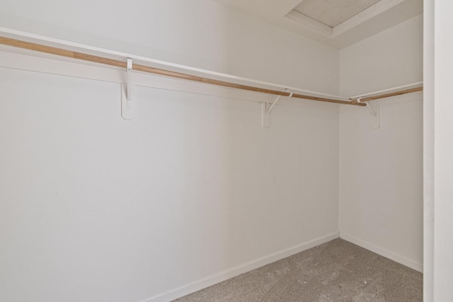 3225 N Mendonca St, Visalia, CA 93291 - spacious closet featuring carpet flooring
