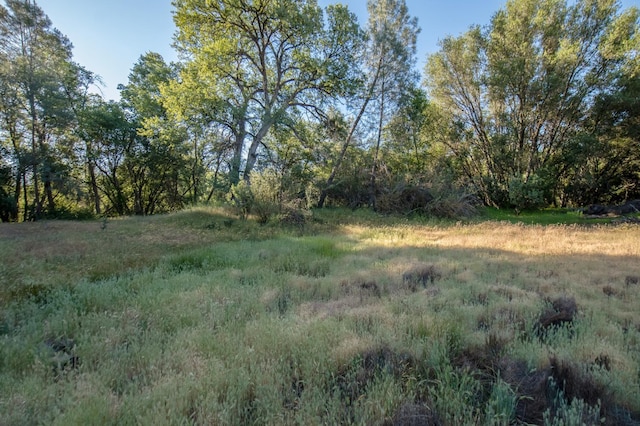 47438 Cheyenne Rd, Coarsegold, CA 93614 - view of local wilderness