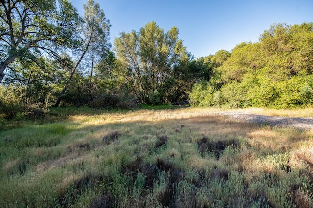 47438 Cheyenne Rd, Coarsegold, CA 93614 - view of woods