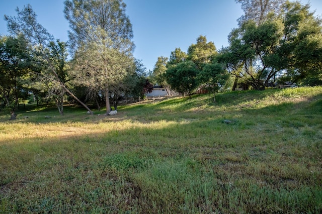47438 Cheyenne Rd, Coarsegold, CA 93614 - view of yard