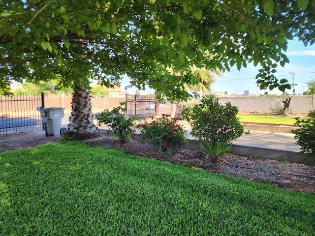 2409 N Valentine Ave, Fresno, CA 93722 - view of yard