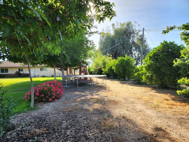 2409 N Valentine Ave, Fresno, CA 93722 - view of green lawn