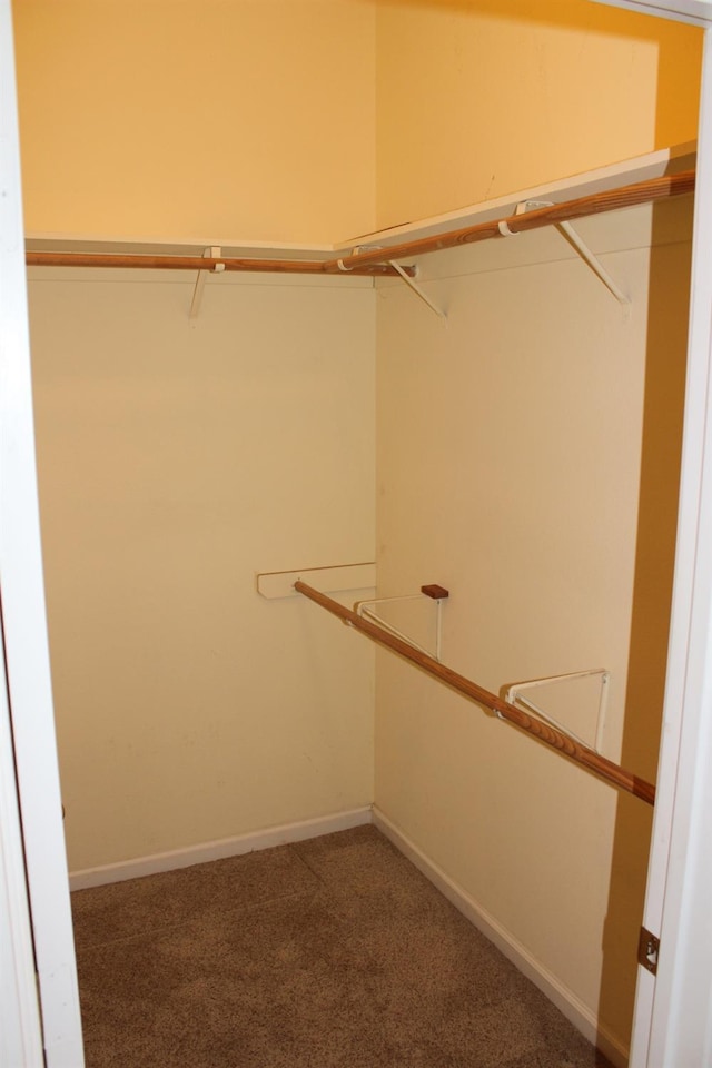 373 W Houston Ave, Clovis, CA 93611 - walk in closet with carpet floors