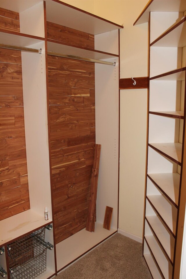 373 W Houston Ave, Clovis, CA 93611 - walk in closet featuring carpet floors
