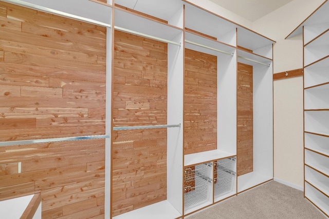 373 W Houston Ave, Clovis, CA 93611 - spacious closet with carpet flooring